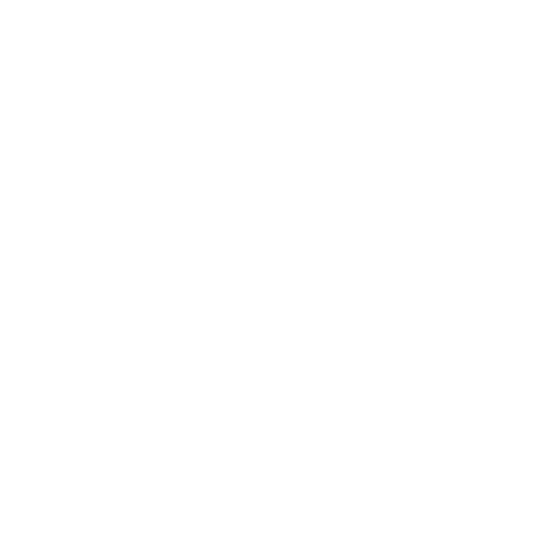 logo2